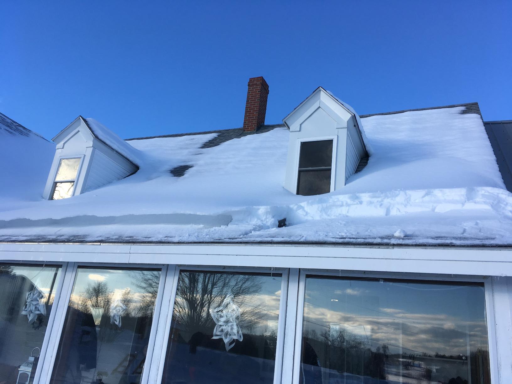Snow Joe Telescoping Roof Rake, Extendable Leaf & Snow Shovel with Poly Blade, 25 Inch Wide, RJ204M customer photo 2