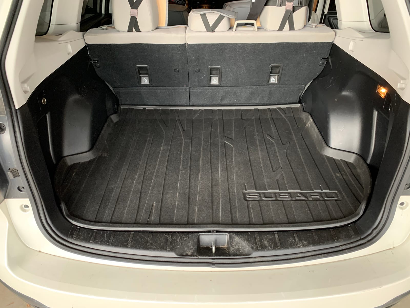 JBL BassPro SL 8-inch 125W RMS Powered Under-Seat Compact Subwoofer Enclosure System (250 watts RMS: 125 watts), Black customer photo 2