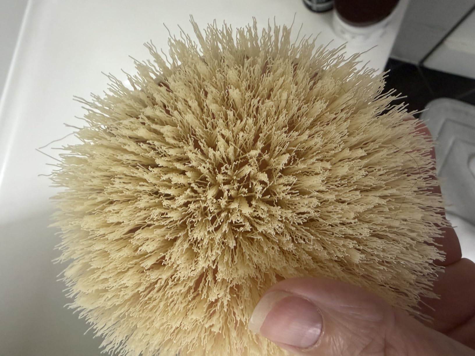 EcoTools Dry Body Brush for Dry Brushing, Smooth Skin, 1 Count customer photo 1