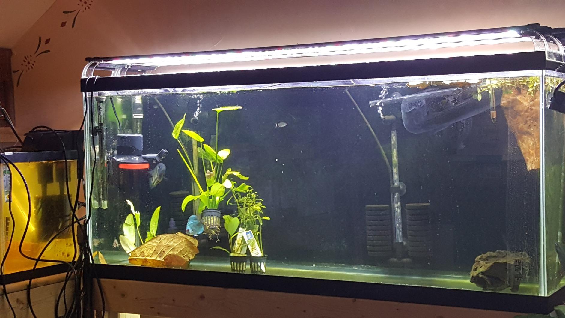 Marineland Magnum Polishing Internal Canister Filter, For Aquariums Up To 97 Gallons customer photo 2