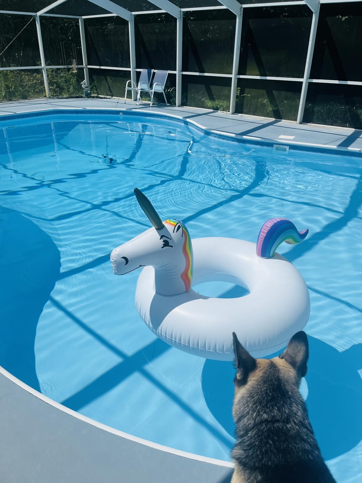 GoFloats Unicorn Pool Float Party Tube - Inflatable Rafts customer photo 1