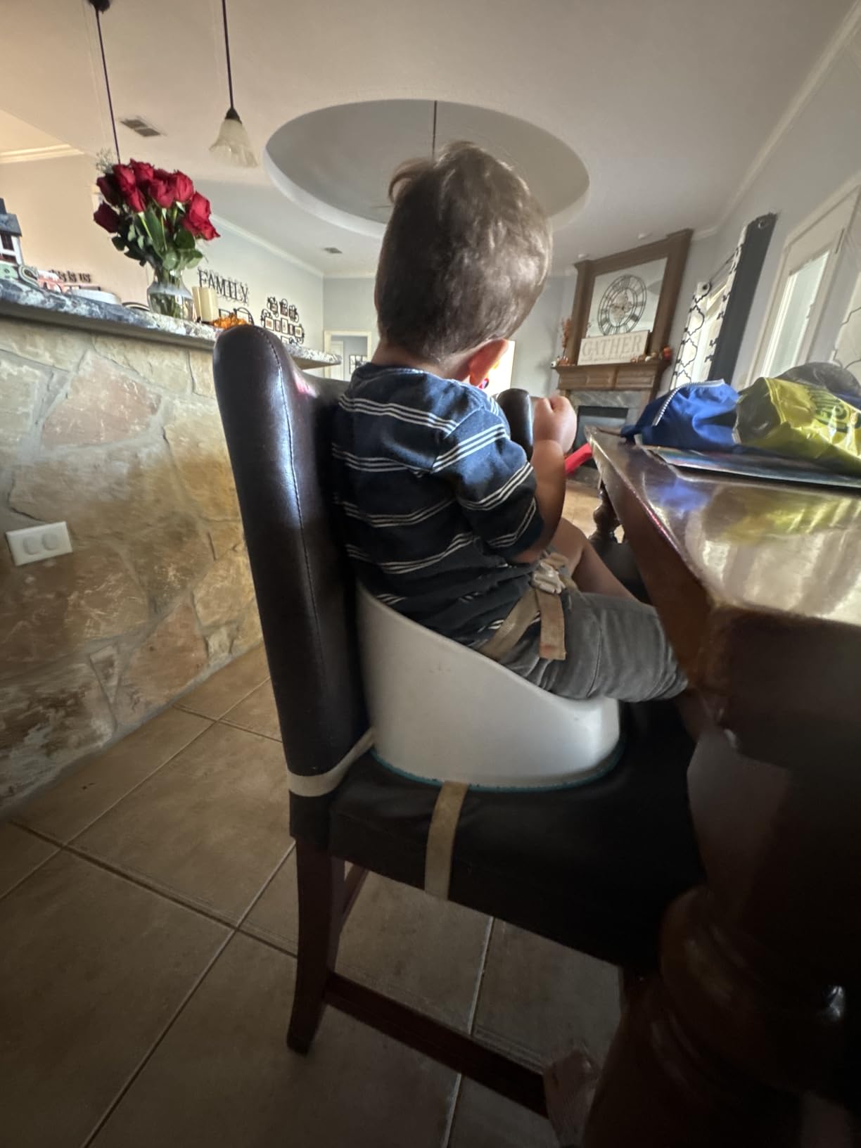 Prince Lionheart Baby Booster Squish Seat for Dining Table, Soft Seat with 3-Point Harness and Dual-Strap System for Toddler customer photo 2