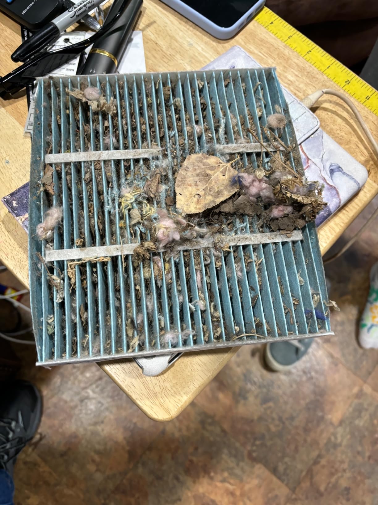 BOSCH 6055C HEPA Cabin Air Filter - 3 Layer Protection For A Healthier Ride customer photo 2