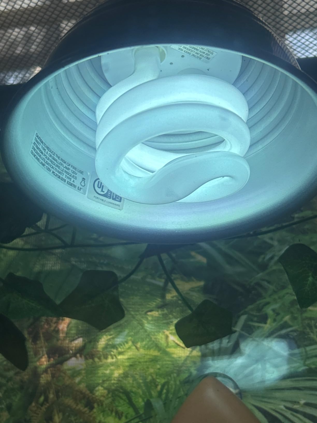 Zilla Canopy Series Fluorescent UVB/UVA Bulb for Reptiles, 13 W customer photo 1