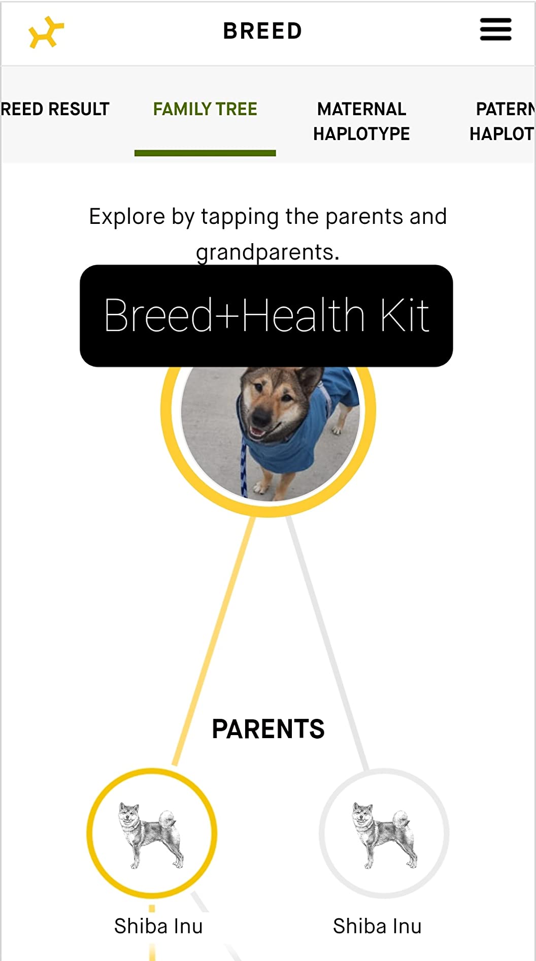 Embark Purebred Dog DNA Test - 270+ Genetic Health Conditions, 55 Physical Traits, Coefficient of Inbreeding (COI), Relatives, Breed Confirmation customer photo 2