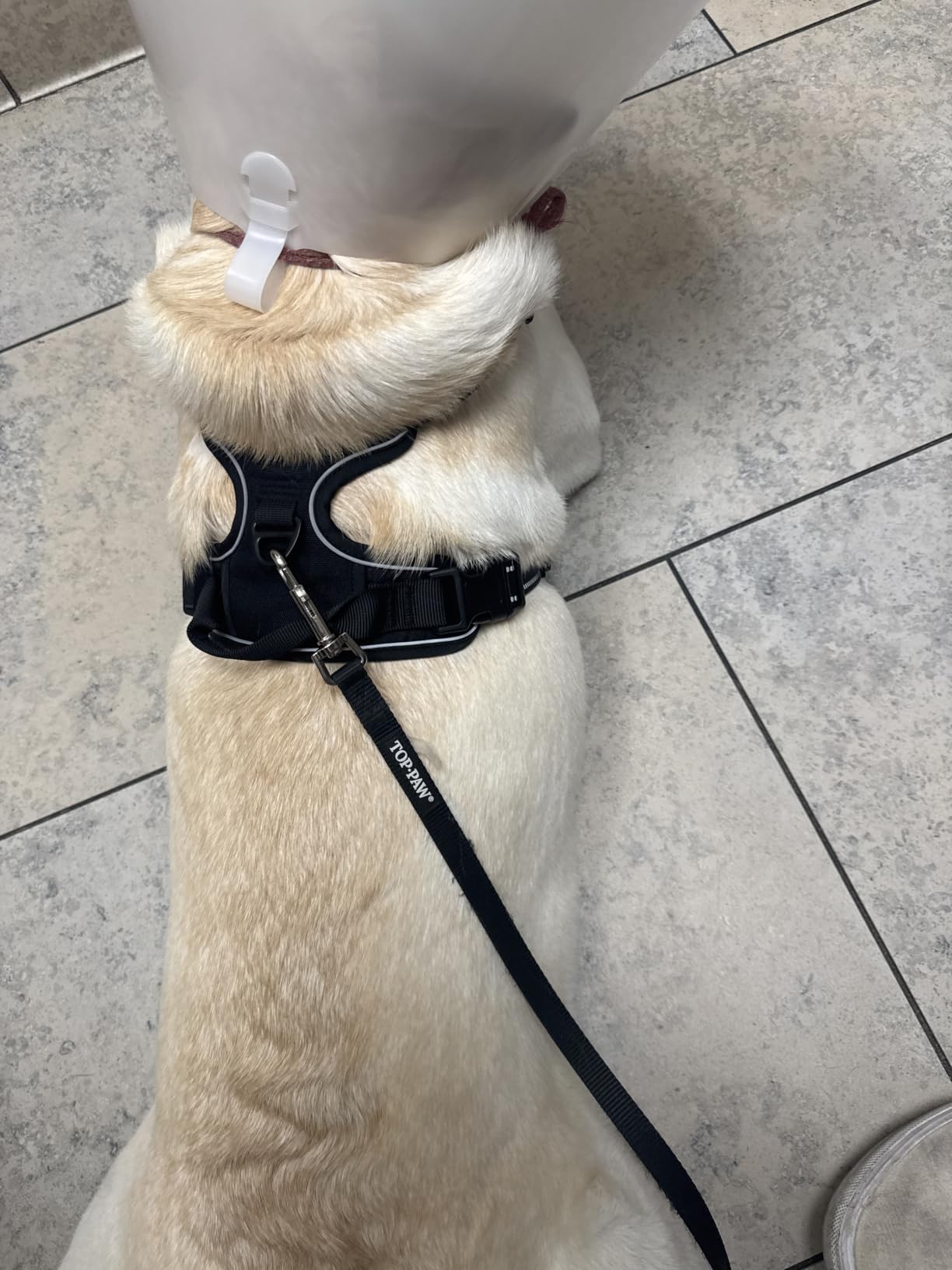 rabbitgoo Dog Harness, No Pull for Large Dogs with 2 Leash Clips, Pet Vest customer photo 1