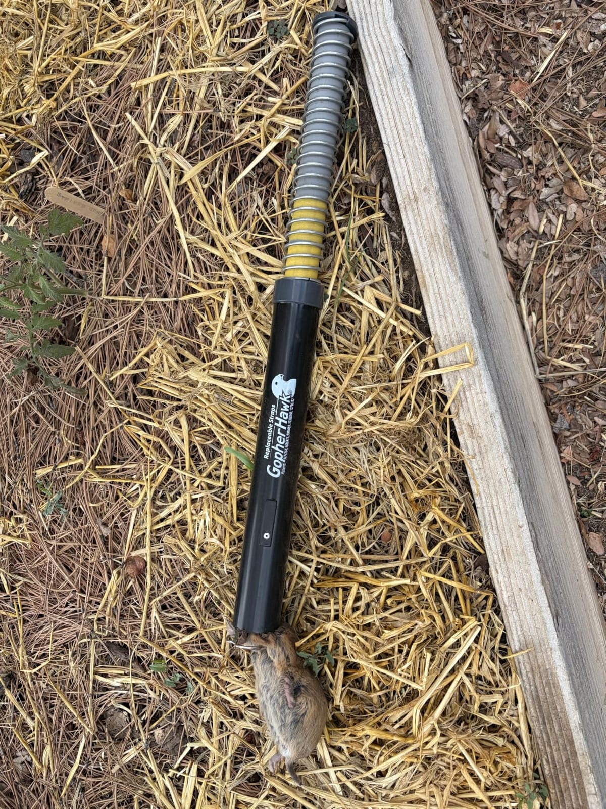GopherHawk® Single Trap for Gophers and Moles, 1 GH-TRP customer photo 1