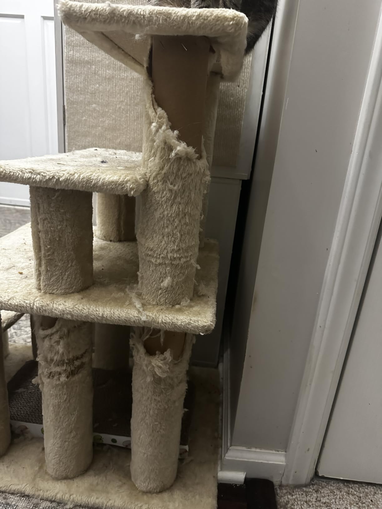 Furhaven Steady Paws Multi-Step Pet Stairs for High Beds & Sofas - Cream, 3-Step customer photo 1
