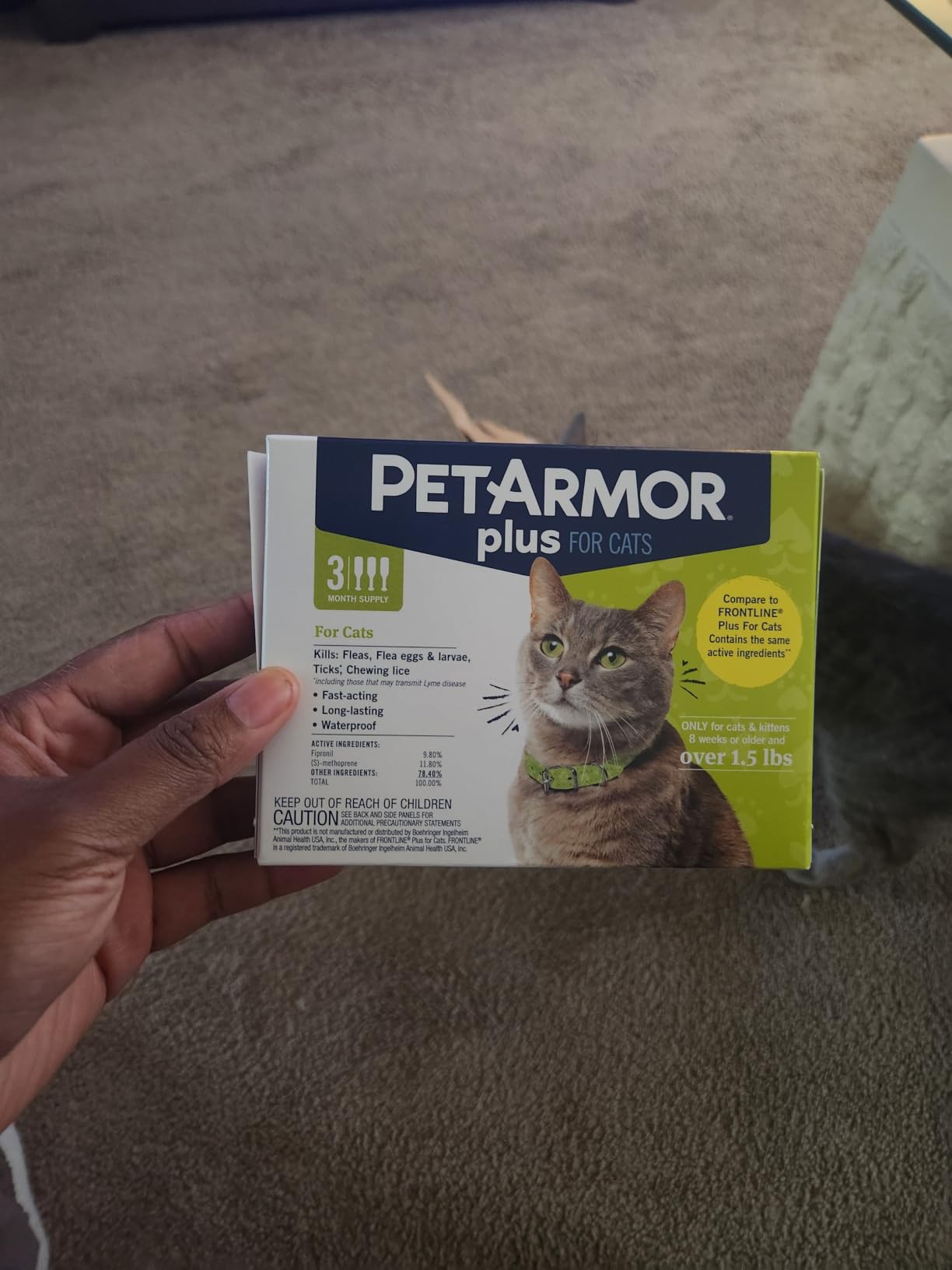 PetArmor Plus Flea & Tick Topical Dogs 45-88 lbs, 6-Month customer photo 2