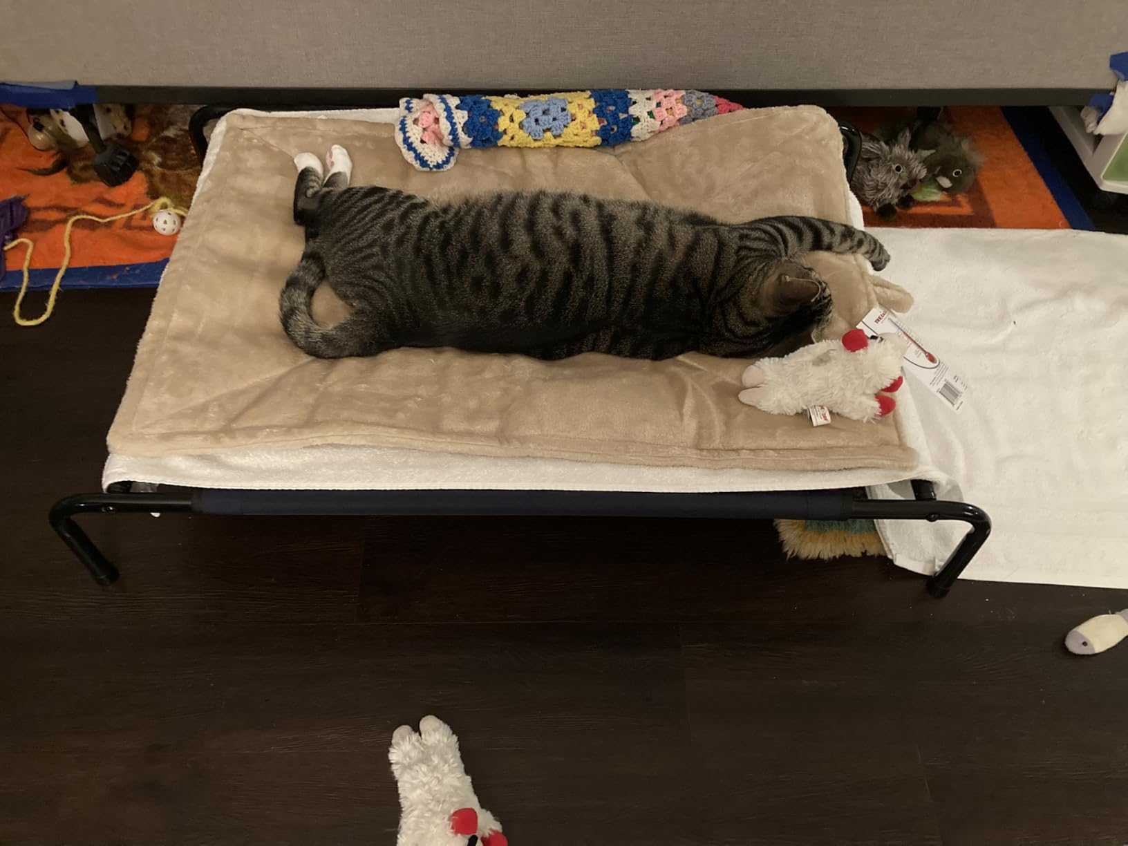 FurHaven ThermaNAP Self Warming Cat Mat, Dog Bed for Crates with Self-Warming Technology for Cozy Rest, Fully Machine Washable, Small, Plush Faux Fur, Gray customer photo 2