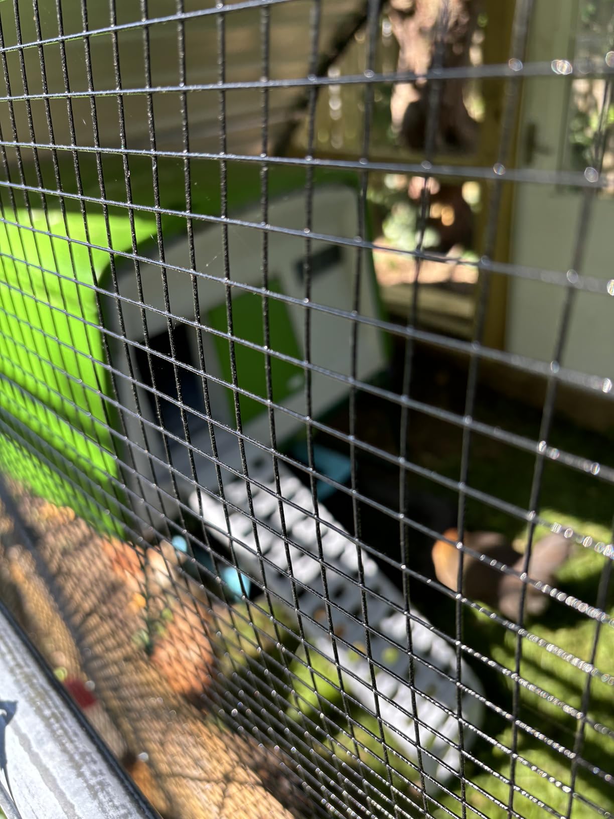 Omlet Eglu Cube Large Chicken Coop | Easy to Clean Plastic Chicken Tractor | The Most Secure Hen House for Complete Peace of Mind | Weatherproof Cool in Summer and Warm in Winter | Green customer photo 1