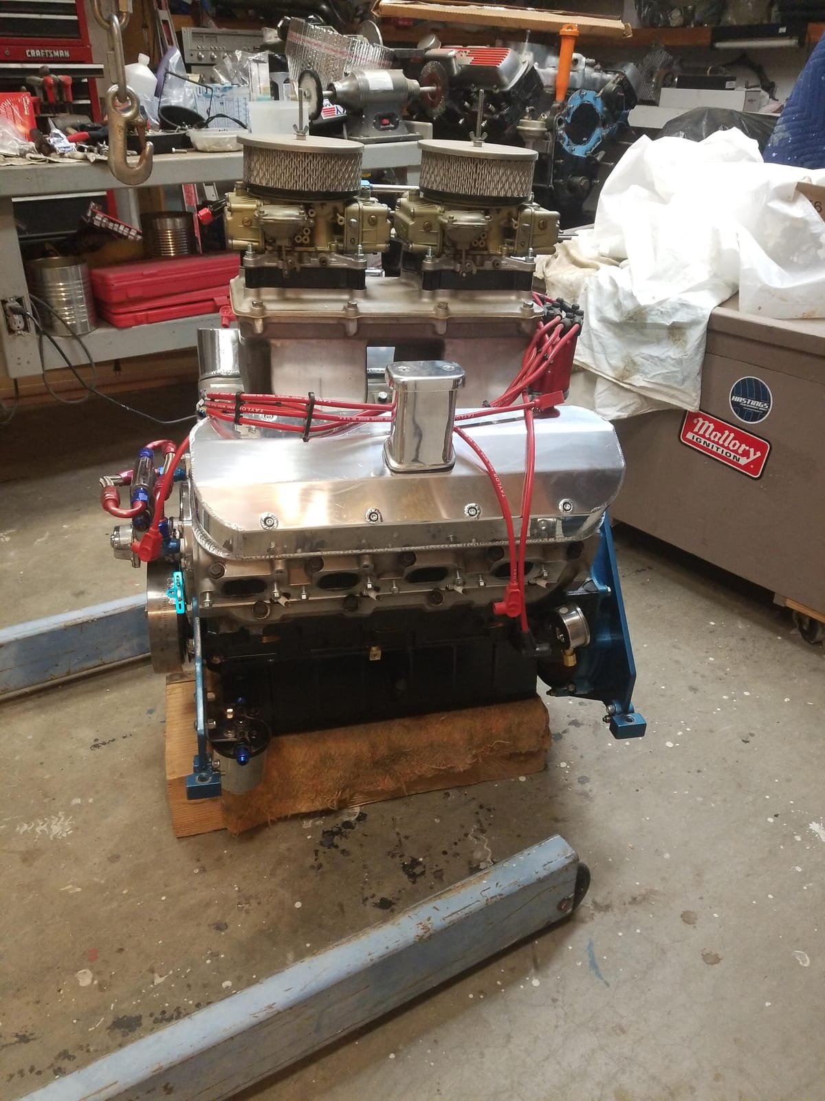 NGK 3951 Spark Plugs TR55 (8 Pack) customer photo 1
