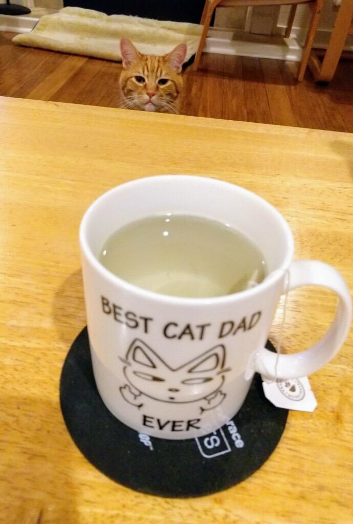 MAUAG Best Cat Dad Ever 11 Oz Ceramic Letter Print Modern Casual Funny Cat Lovers Coffee Mug customer photo 1
