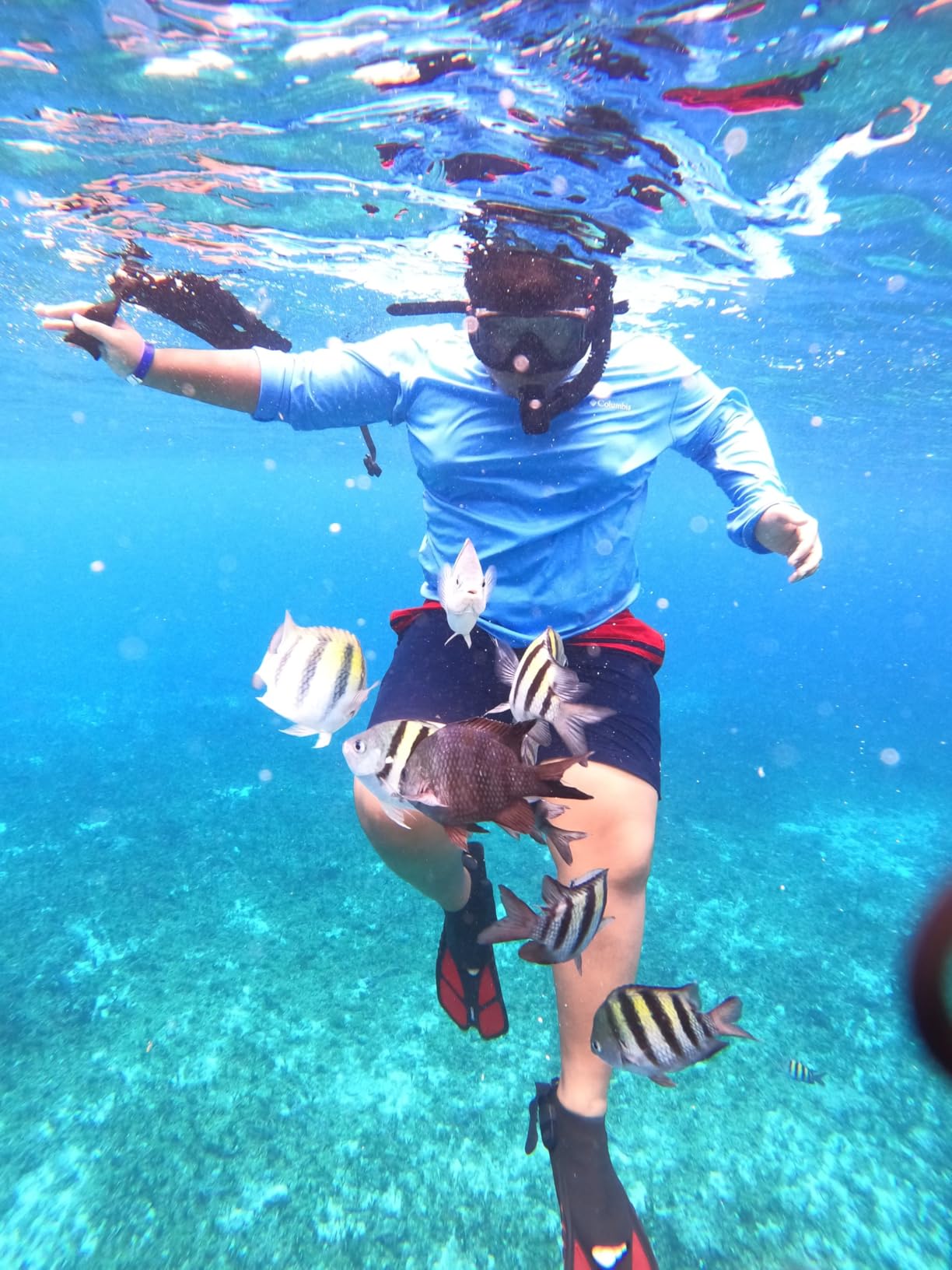 CAPAS Snorkel Fins, Travel Size Short Flippers for Snorkeling Swimming customer photo 2