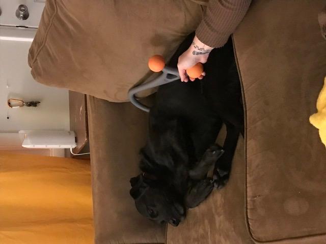 TRIGGERPOINT Performance Therapy AcuCurve Massage customer photo 2