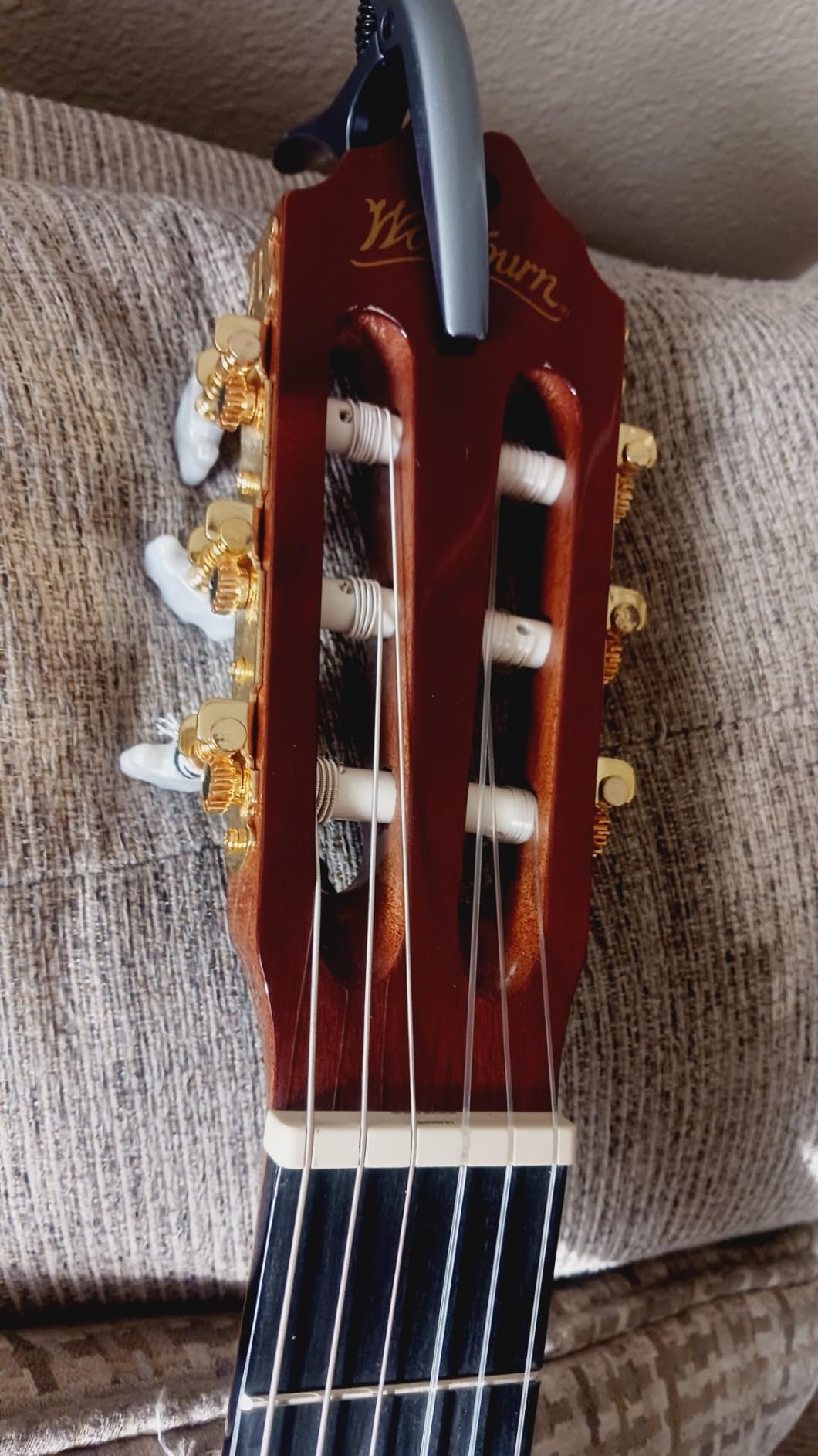 Washburn Classical C5CE Cutaway , Acoustic Electric Guitar customer photo 1