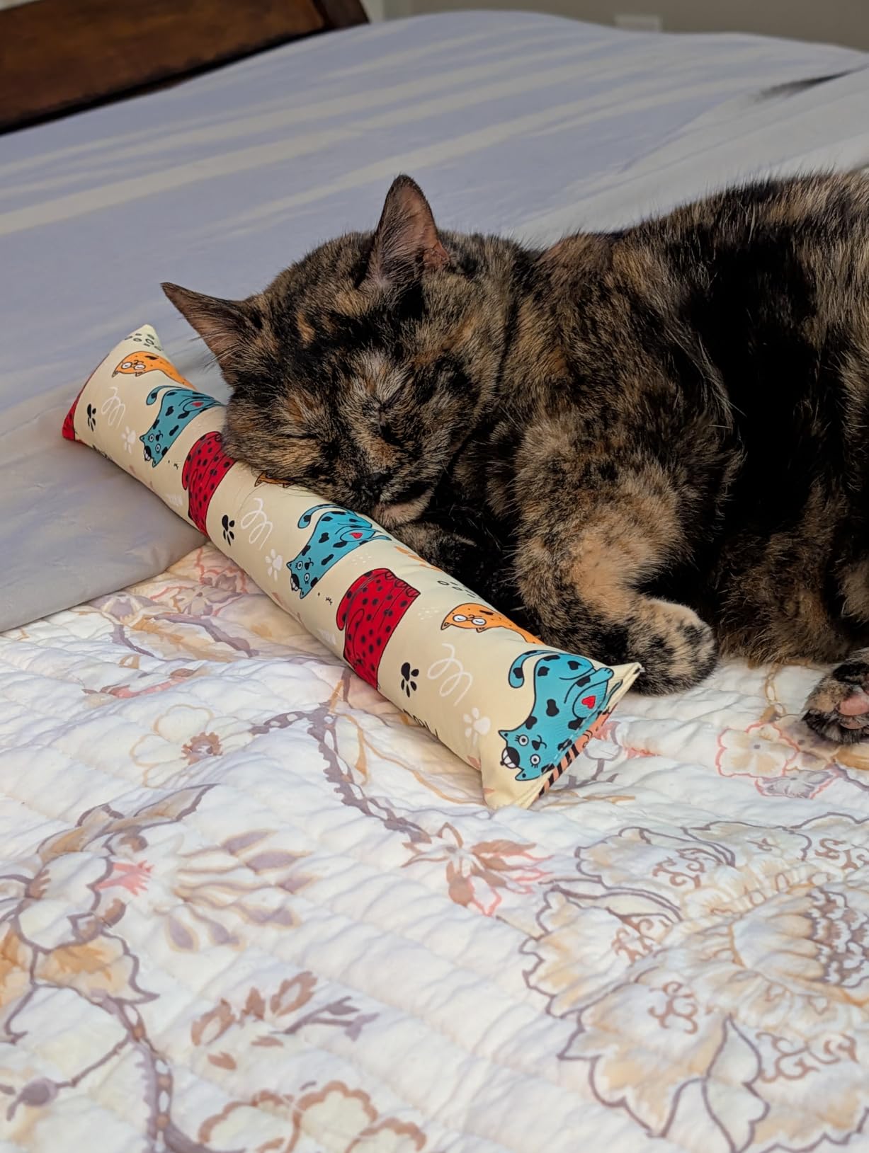 Cat Kicker Toys – 15