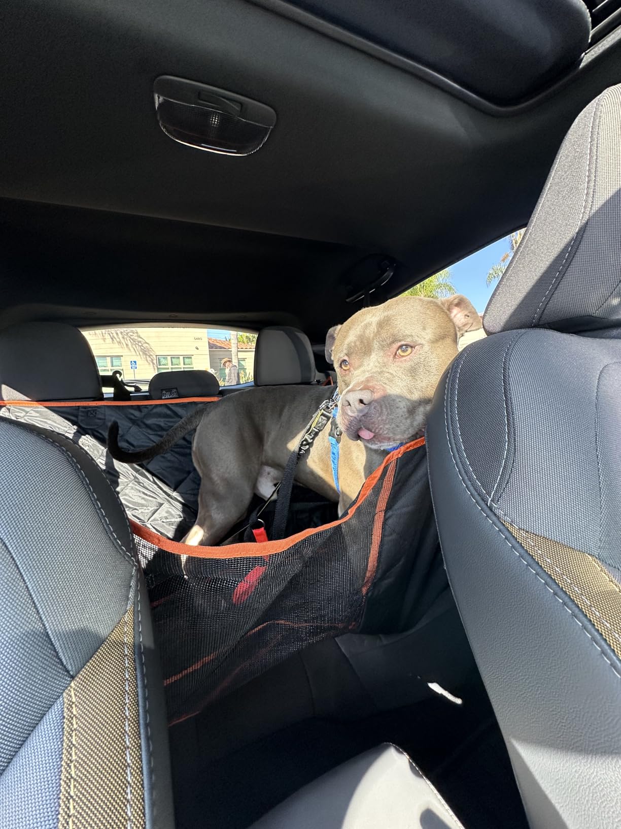 Luxury Dog Car Seat Cover for Back Seat Breathable Mesh Window Dog Hammock for Car 4-Layer Heavy Duty Waterproof Pet Seat Protector Scratch-Proof Car Seat Cover Perfect for Family Road Trips customer photo 2