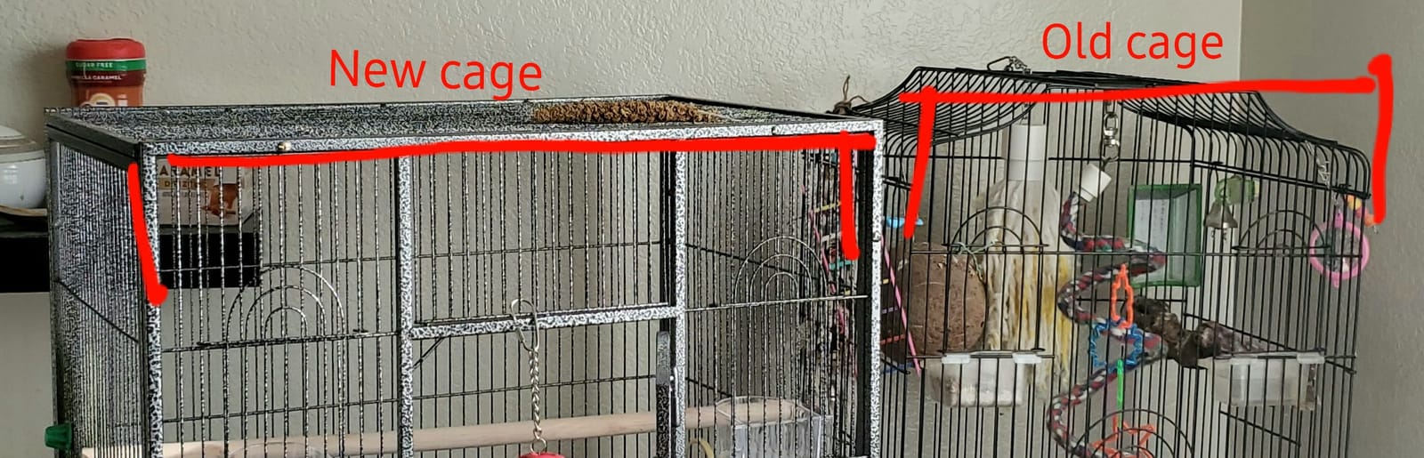 ZENY 53-Inch Parakeet Bird Cage, Wrought Iron Large Parrot Flight Birdcage customer photo 1