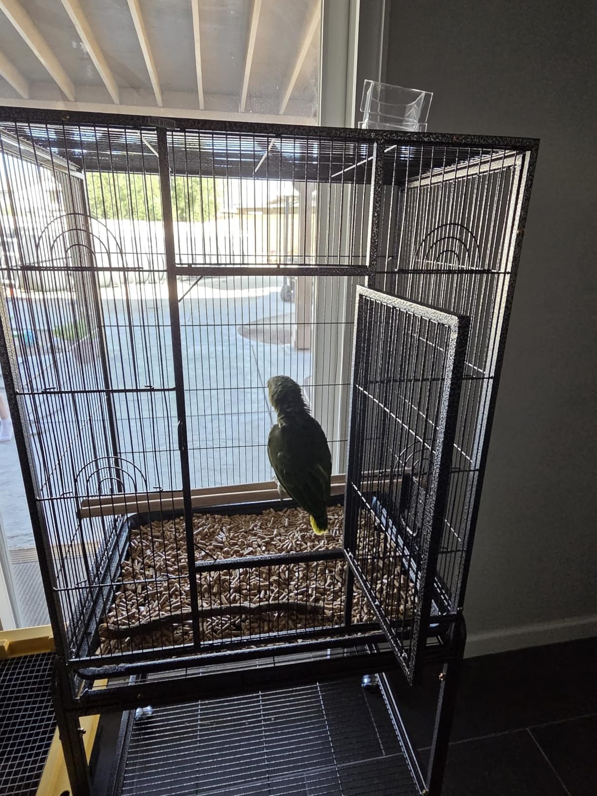 ZENY 53-Inch Parakeet Bird Cage, Wrought Iron Large Parrot Flight Birdcage customer photo 2