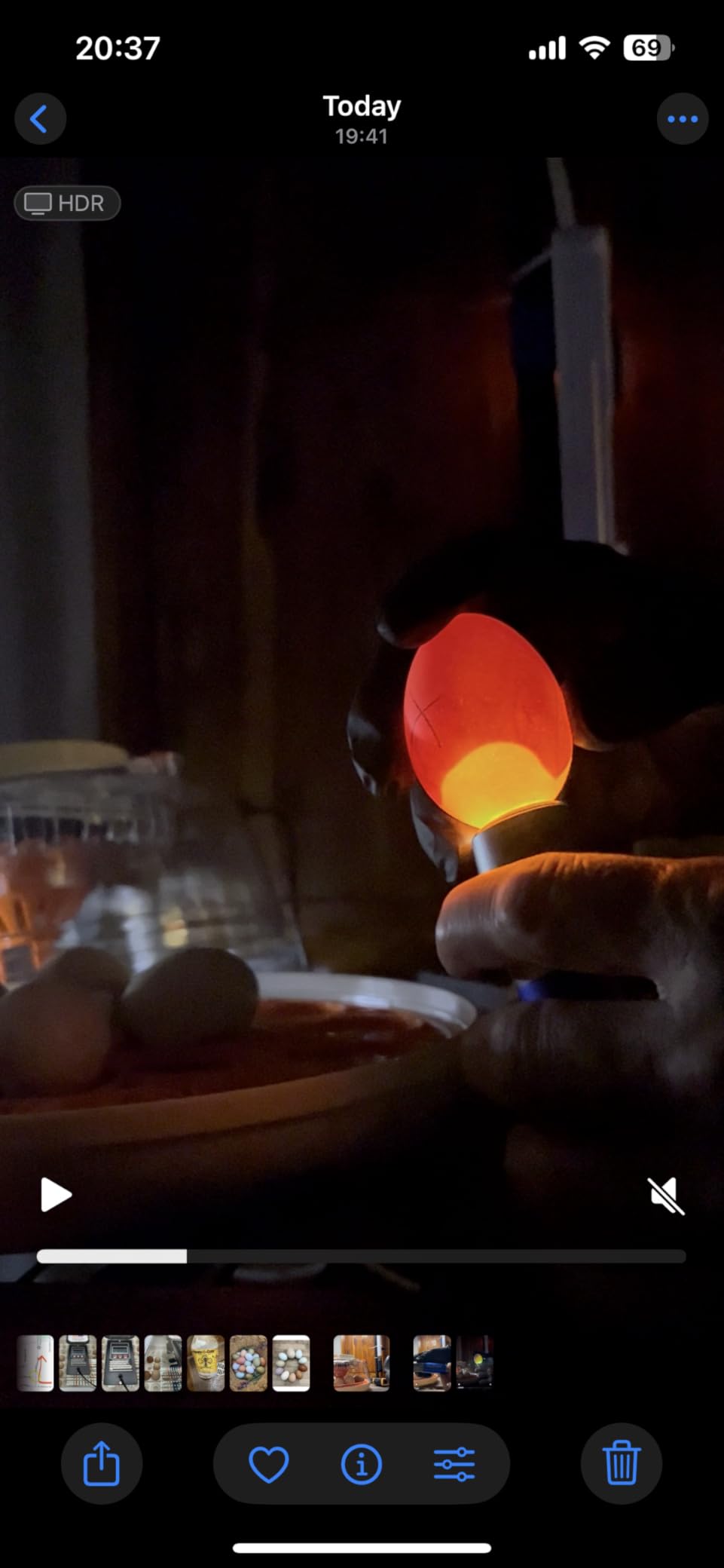 Incu-Bright™ Ultra Bright LED Egg Candler - Portable Light for All Egg Size customer photo 2