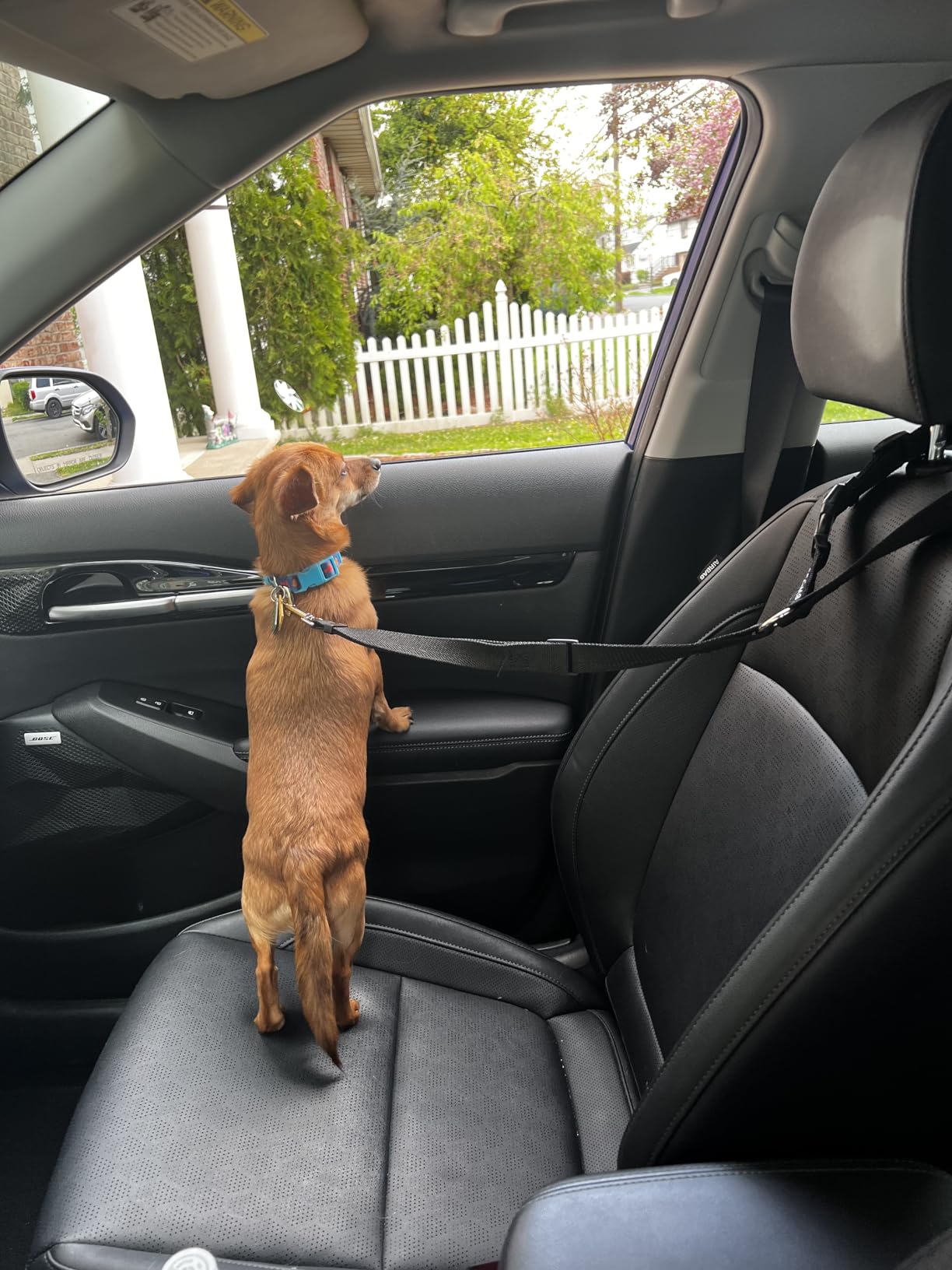 BWOGUE 2 Pack Dog Seat Belt for Car, Headrest Restraint Safety Leads customer photo 2