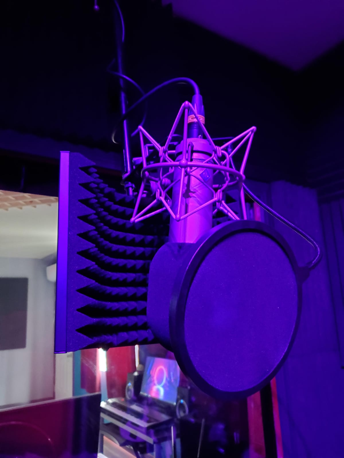 Aokeo Professional Studio Recording Microphone Isolation Shield,Suitable for Blue Yeti and Any Condenser Microphone Recording Equipment(AO-403) customer photo 2
