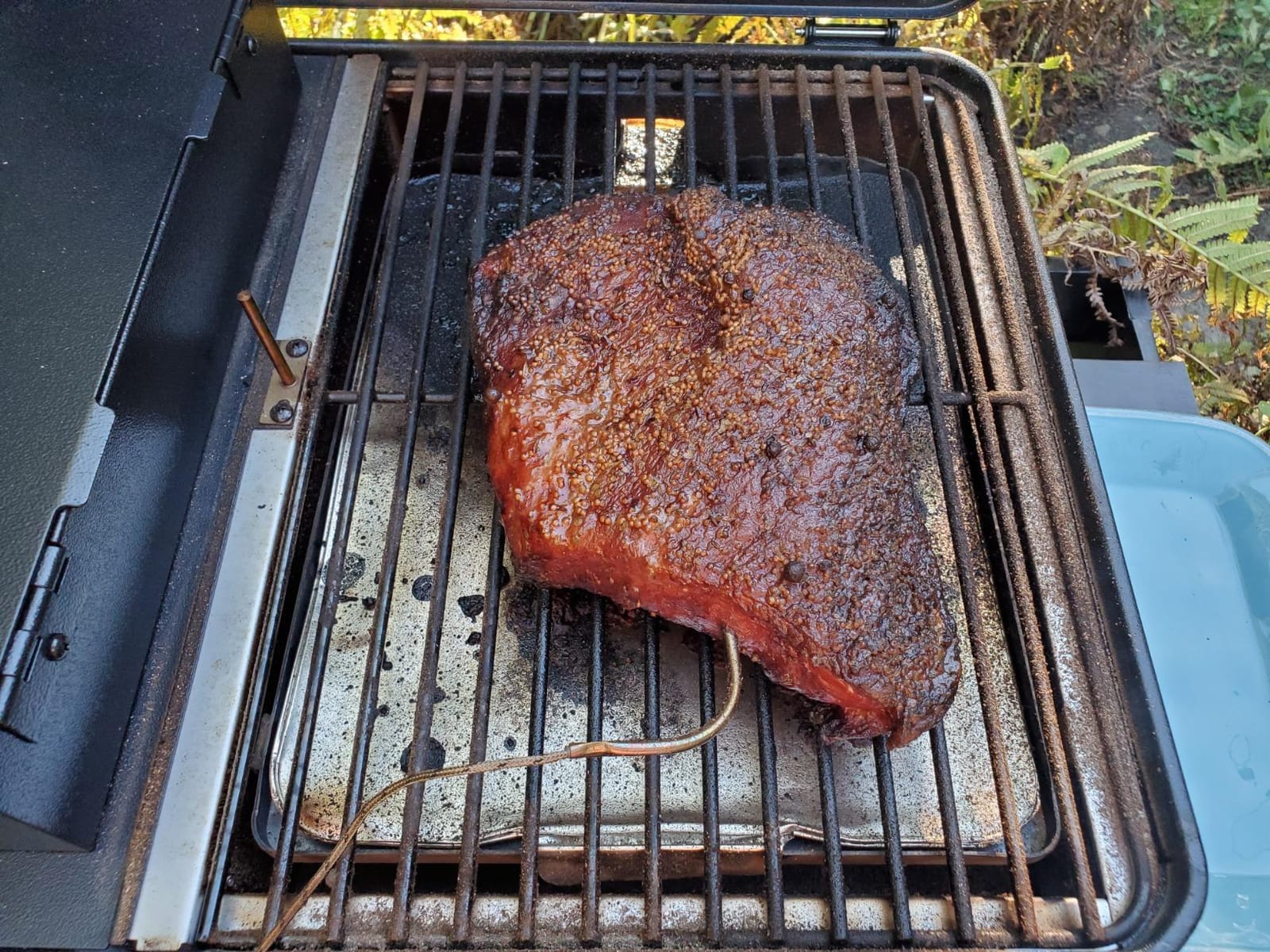 Traeger Ranger Portable Wood Pellet Grill & Smoker, Cast Iron Griddle customer photo 2
