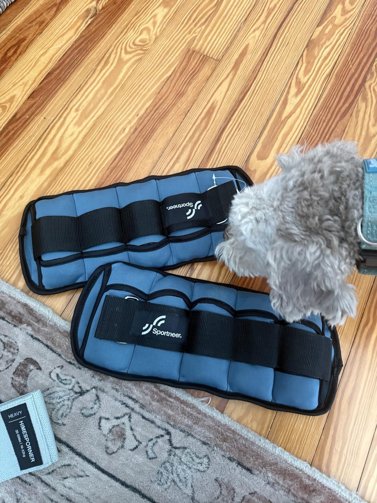 Sportneer Adjustable Ankle Weights, 2-10 lb per Pair, Removable Weights | Soft neoprene for women and men. Adjusts from 1-5 lb each for walking, running, Pilates, home workouts, physical therapy. customer photo 1