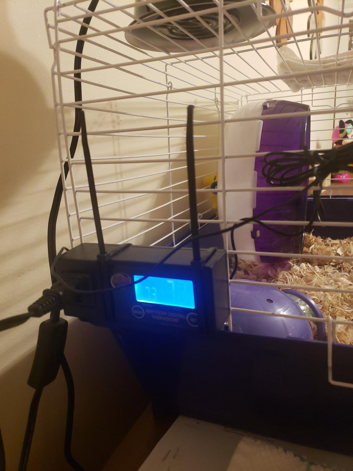 Zoo Med ReptiTemp Digital Thermostat customer photo 1