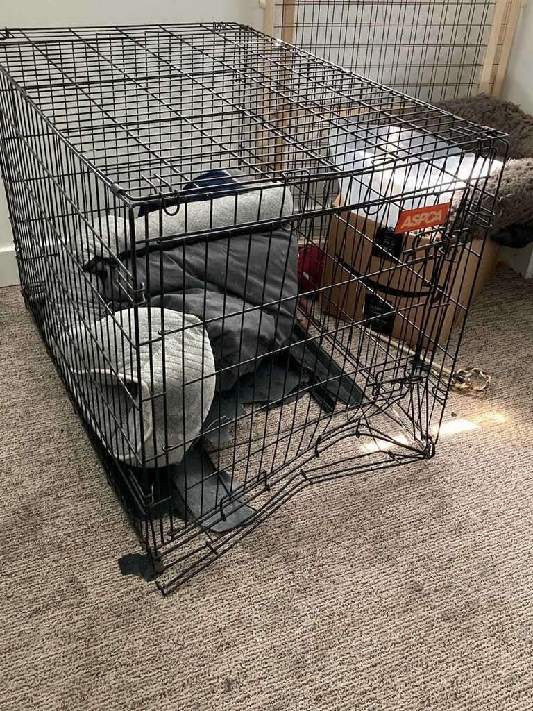 LUCKUP 38 Inch Heavy Duty Dog Cage Metal Kennel and Crate for Large Dogs,Easy to Assemble Pet Playpen with Four Wheels,Black … … customer photo 2