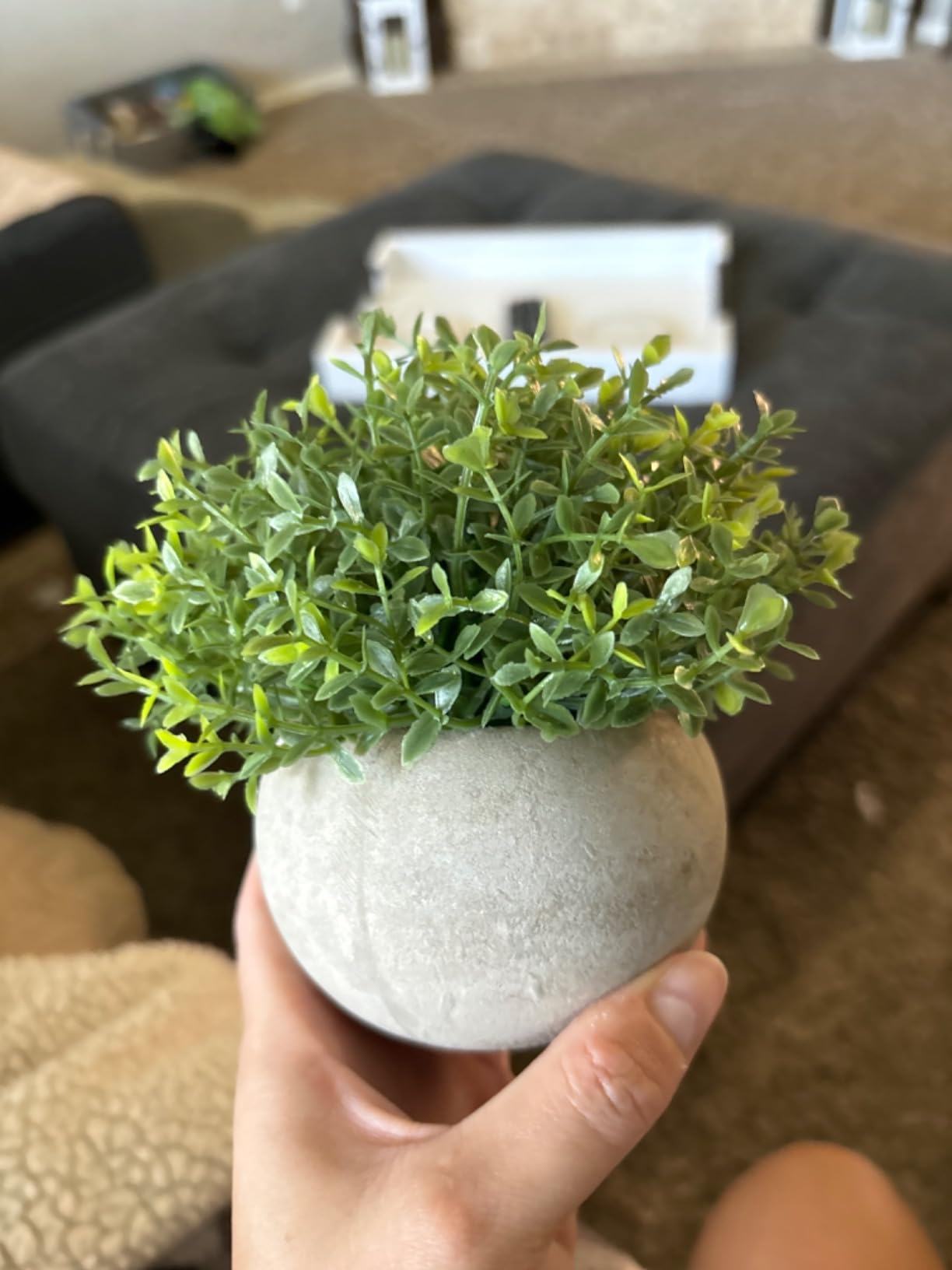 Ogrmar Mini Plastic Faux Plants in Pot/Small Topiary Shrubs Green Leaf customer photo 1