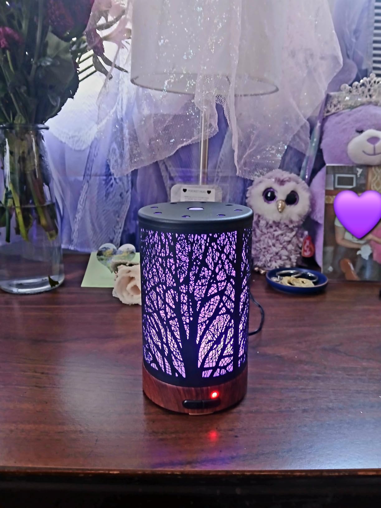 EQUSUPRO Essential Oil Diffuser for Home Fragrance & Aromatherapy customer photo 1