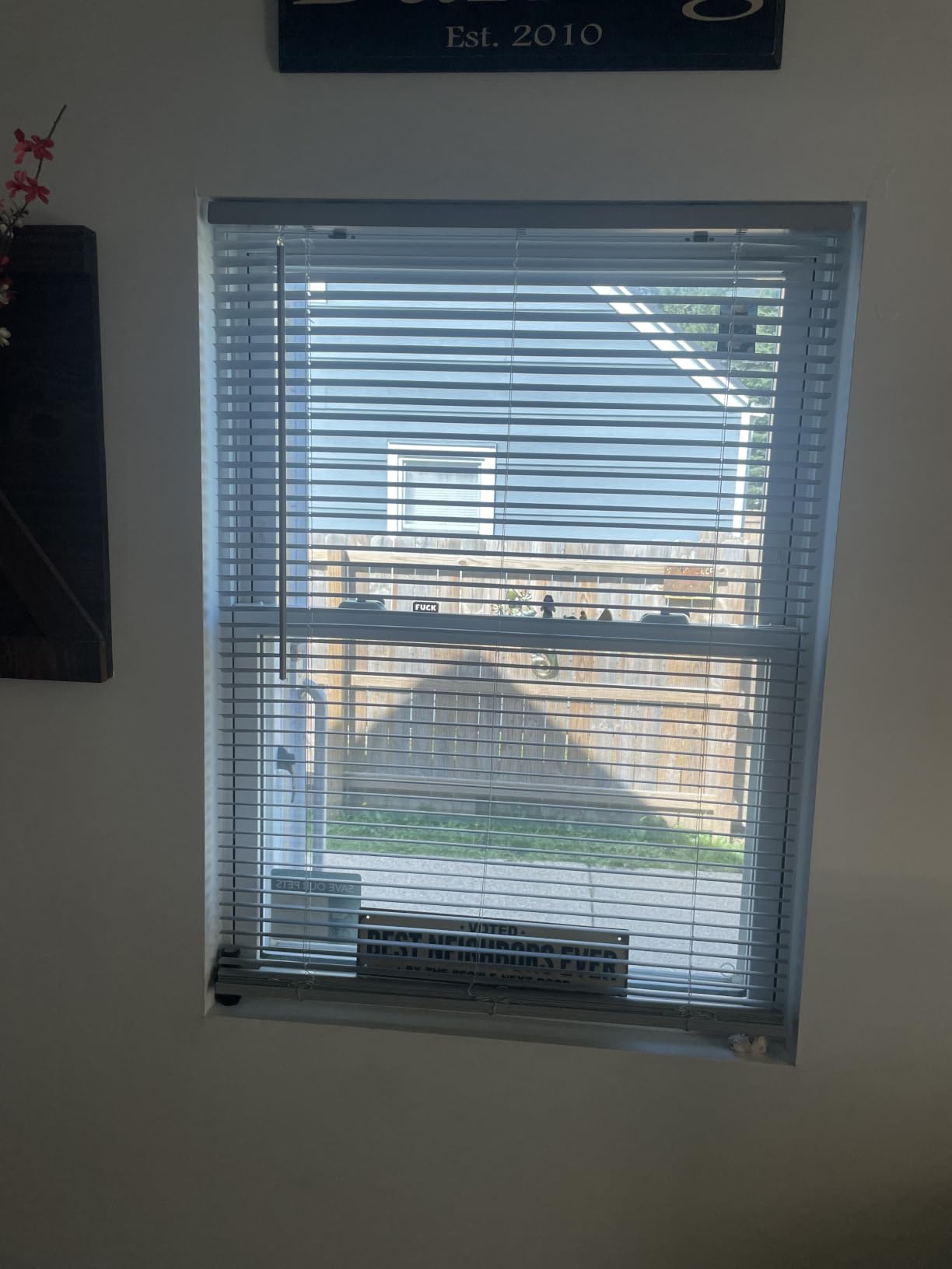 Cordless Room Darkening Mini Blind, 34 x 64 in, Pearl White | Cordless Lift and Room-Darkening Control: Slat-Based Blind Construction with Adjustable Light Control customer photo 1