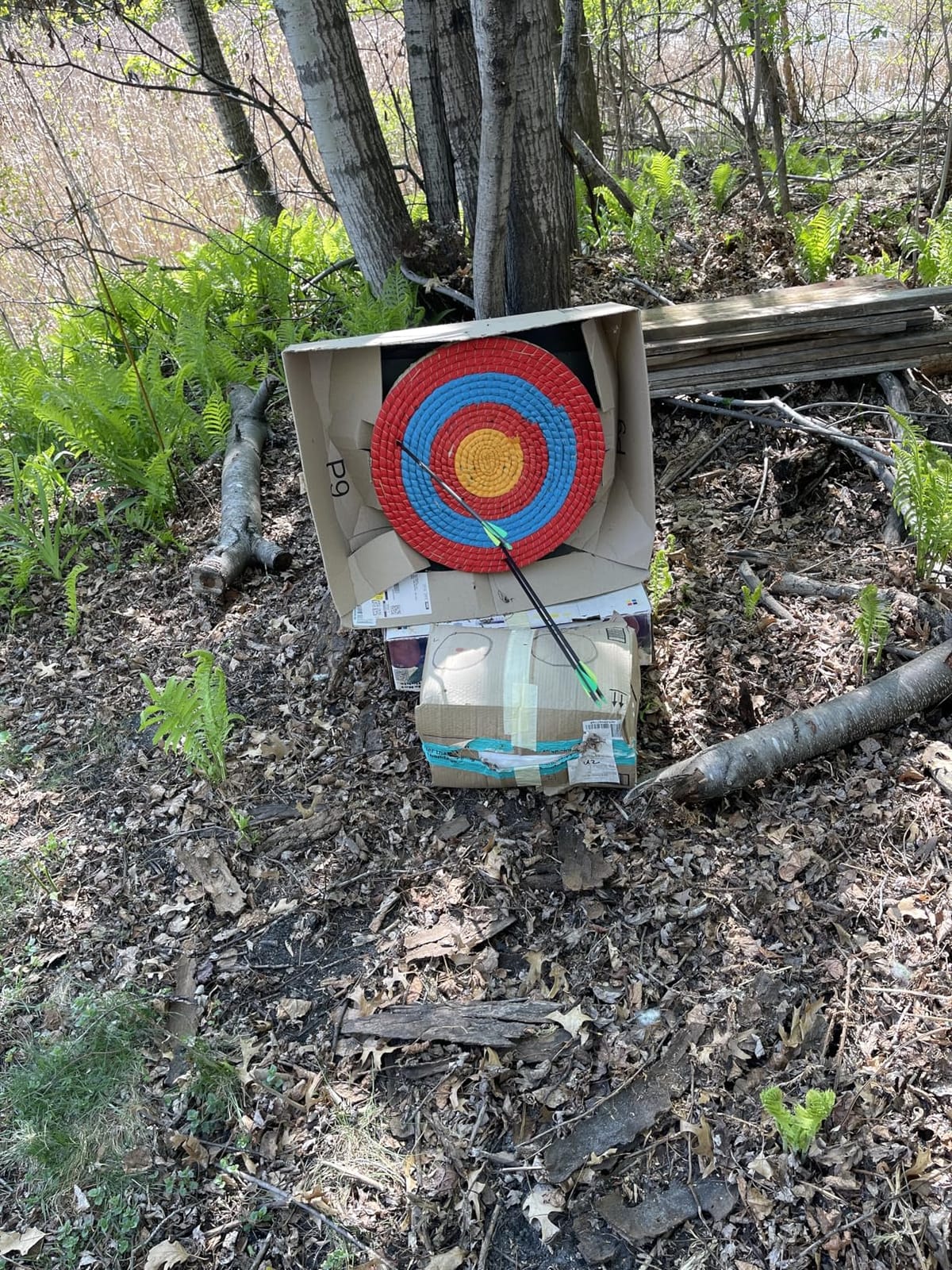 Dostyle Archery Targets Traditional Solid Straw Round Archery Target Shooting Bow Coloured Rope Target Face Three Layer for Shooting Practice customer photo 2