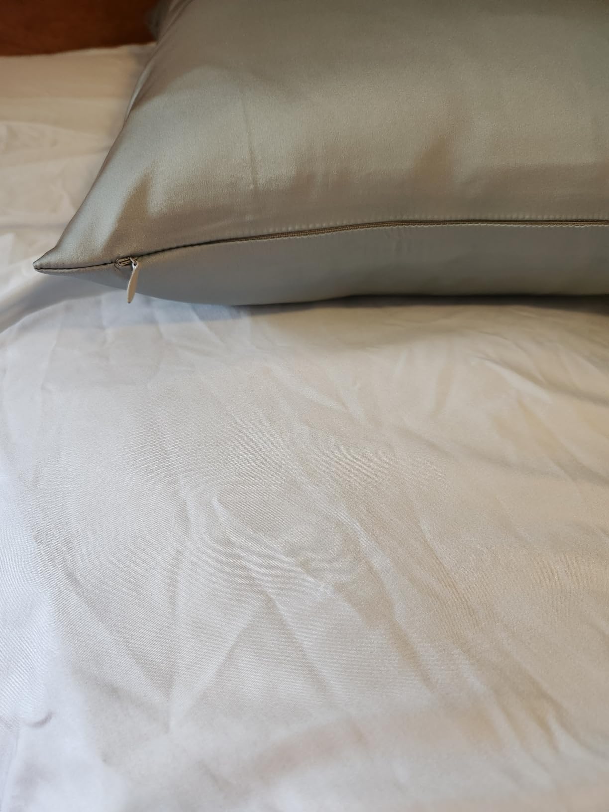Ravmix 21 Momme 100% Mulberry Silk Pillow Case Standard 20x26, Ivory White customer photo 1