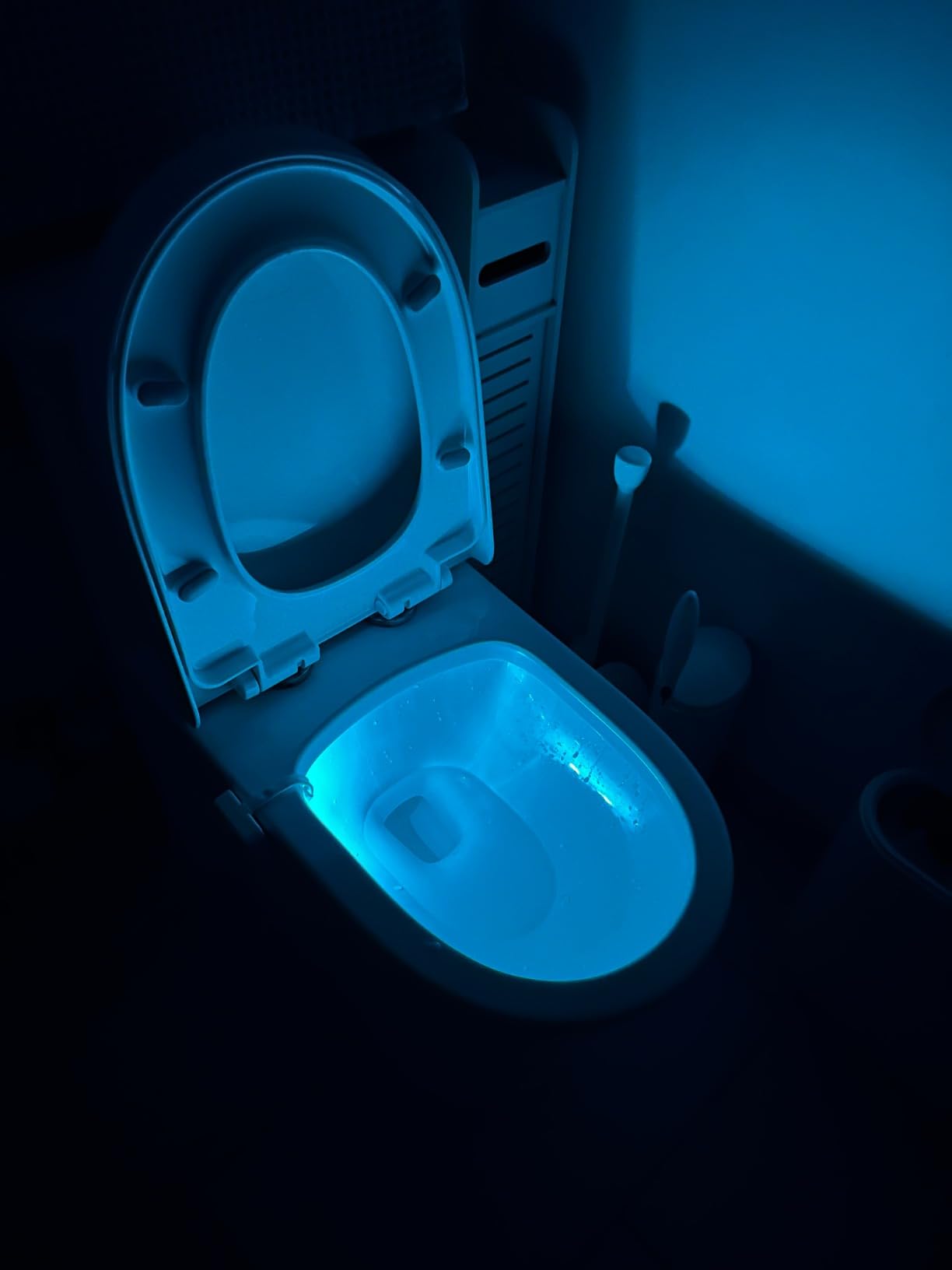 Chunace Toilet Light Motion Sensor for Bathroom, Funny Gag Gifts customer photo 1