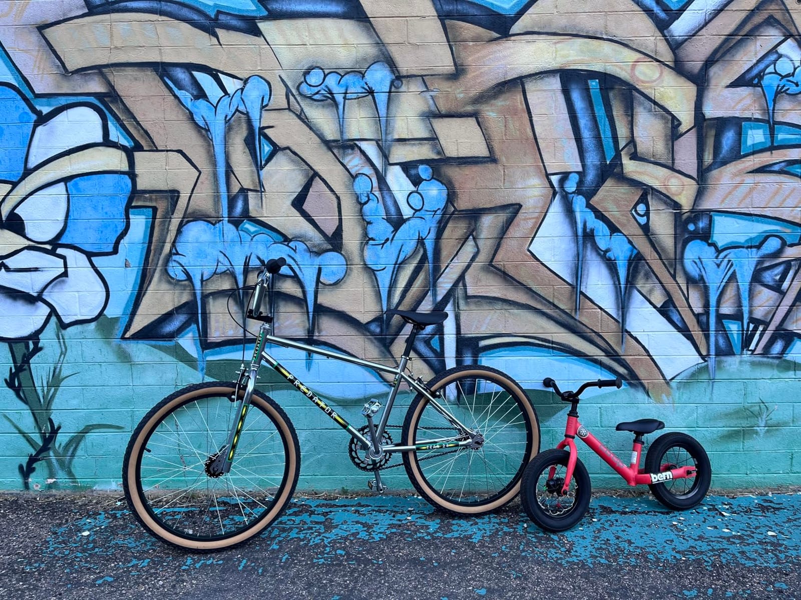 Schwinn Sting Pro and Predator Team BMX Bike for Kids/Youth, Retro Design, Single-Speed, Hi-Ten Steel Frame, 20 or 24-Inch Wheels, Multiple Colors customer photo 1