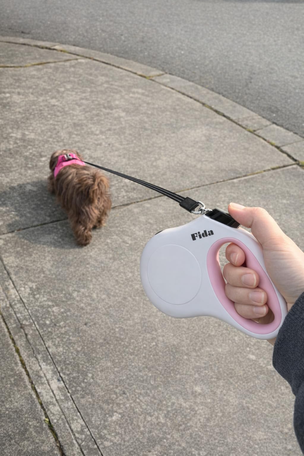 Fida Retractable Dog Leash Large Breed, Heavy Duty 16 ft Dog Walking Leash, up to 110 lbs, 360° Tangle Free, Black customer photo 2