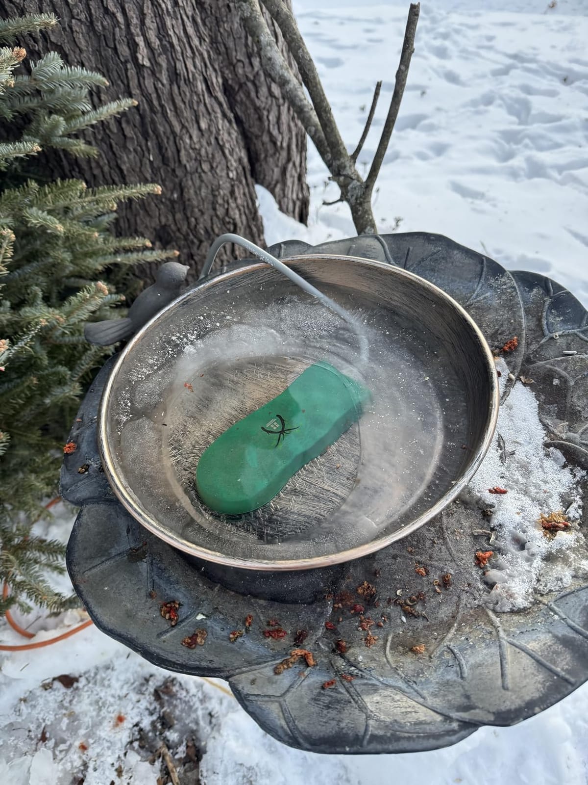 Bird Bath Heater for Outdoors in Winter, Birdbaths Deicer with Thermostatically Controlled, Made of Heavy Duty Premium Cast Aluminum, Perfect for Patio Yard and Lawn Cream customer photo 1