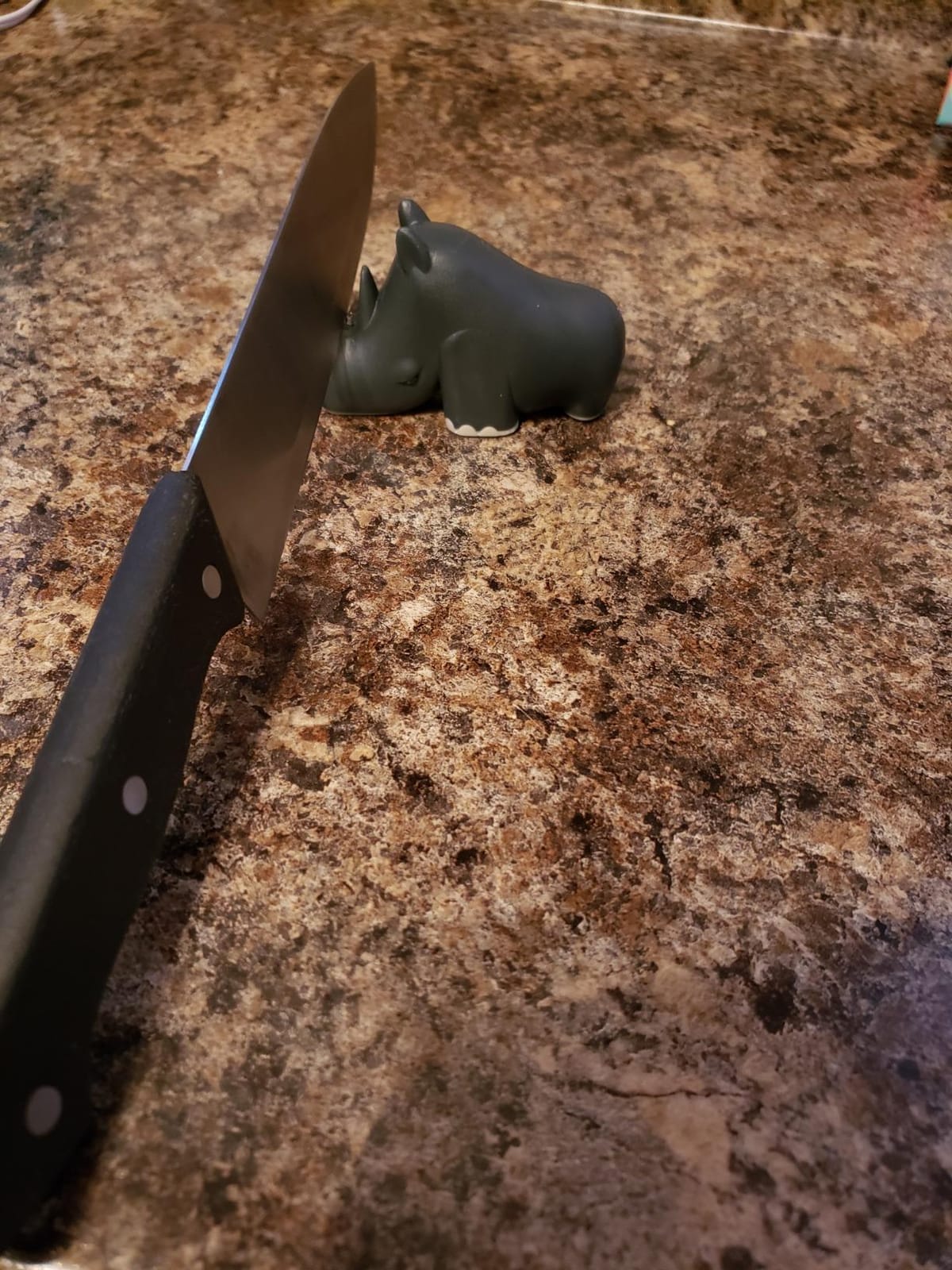 OTOTO Blade Knife Sharpener - Keep Knife Sharper with the Best Knife Sharpener - Fun Kitchen Gadgets BPA-free & Dishwasher-Safe Kitchen Knife Sharpener - Compact customer photo 1