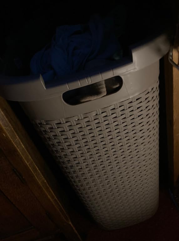 Mind Reader Slim Laundry Hamper with Lid, 60L Tall Clothes Basket, Narrow Tapered Design for Bathrooms, Closets and Laundry Rooms, Plastic, Ivory customer photo 1