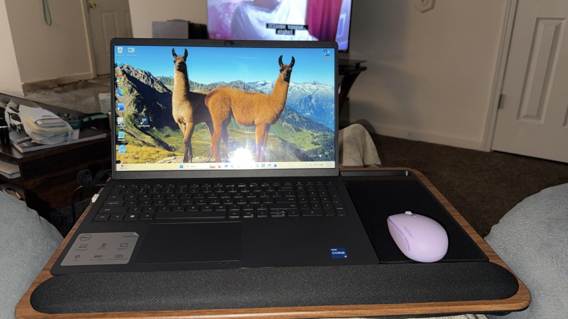 LAPGEAR Home Office Pro Lap Desk - Black Carbon, Fits 15.6” Laptops | Built-In Mouse Pad & Phone Slot, Wide Cushioned Wrist Rest, Dual-Bolster Microbead Cushion, Carry Handle customer photo 1
