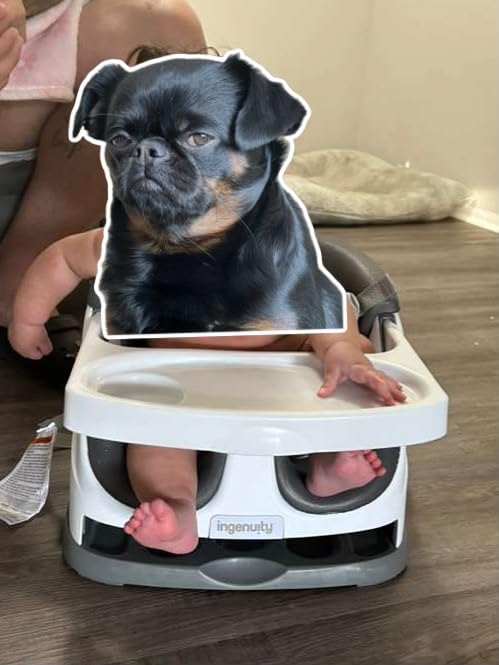 Ingenuity Baby Base 2-in-1 Booster Feeding and Floor Seat with Self-Storing Tray - Slate customer photo 1