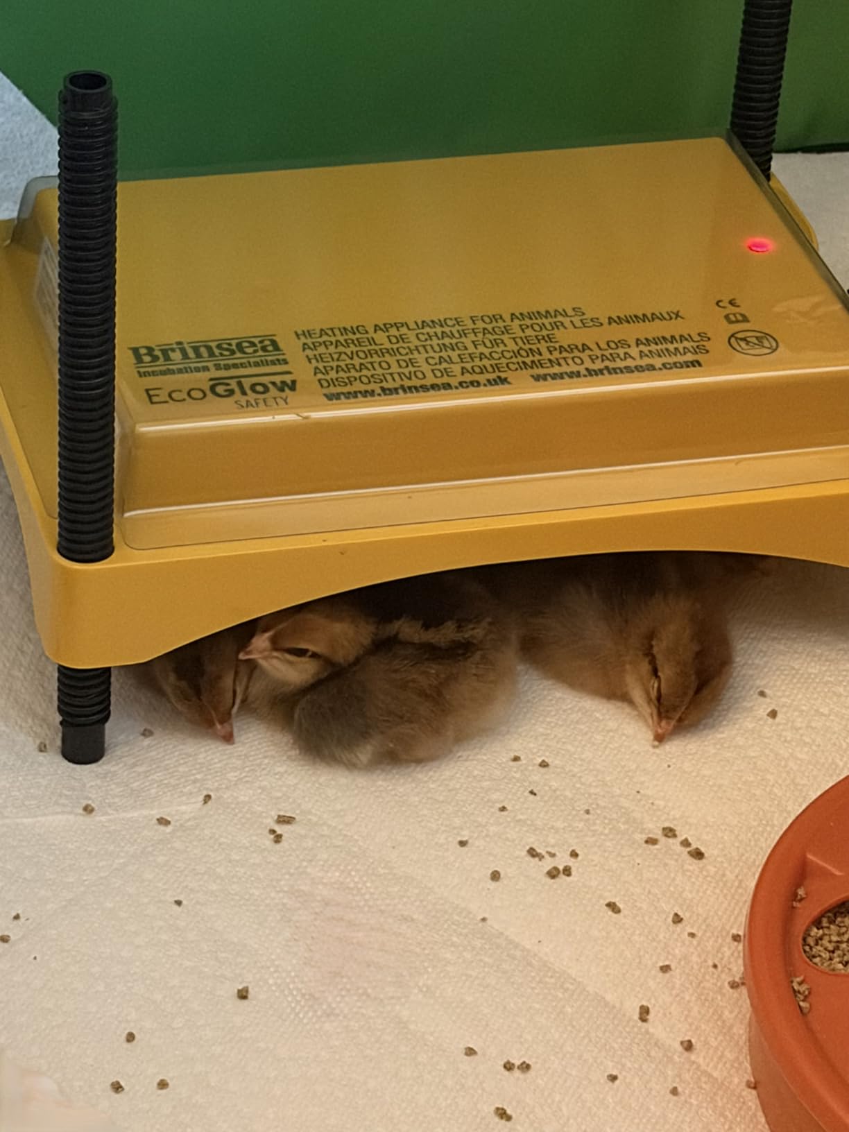 Brinsea Ecoglow Safety 600 Chick or Duckling Brooder, Up to 20 Chicks customer photo 1