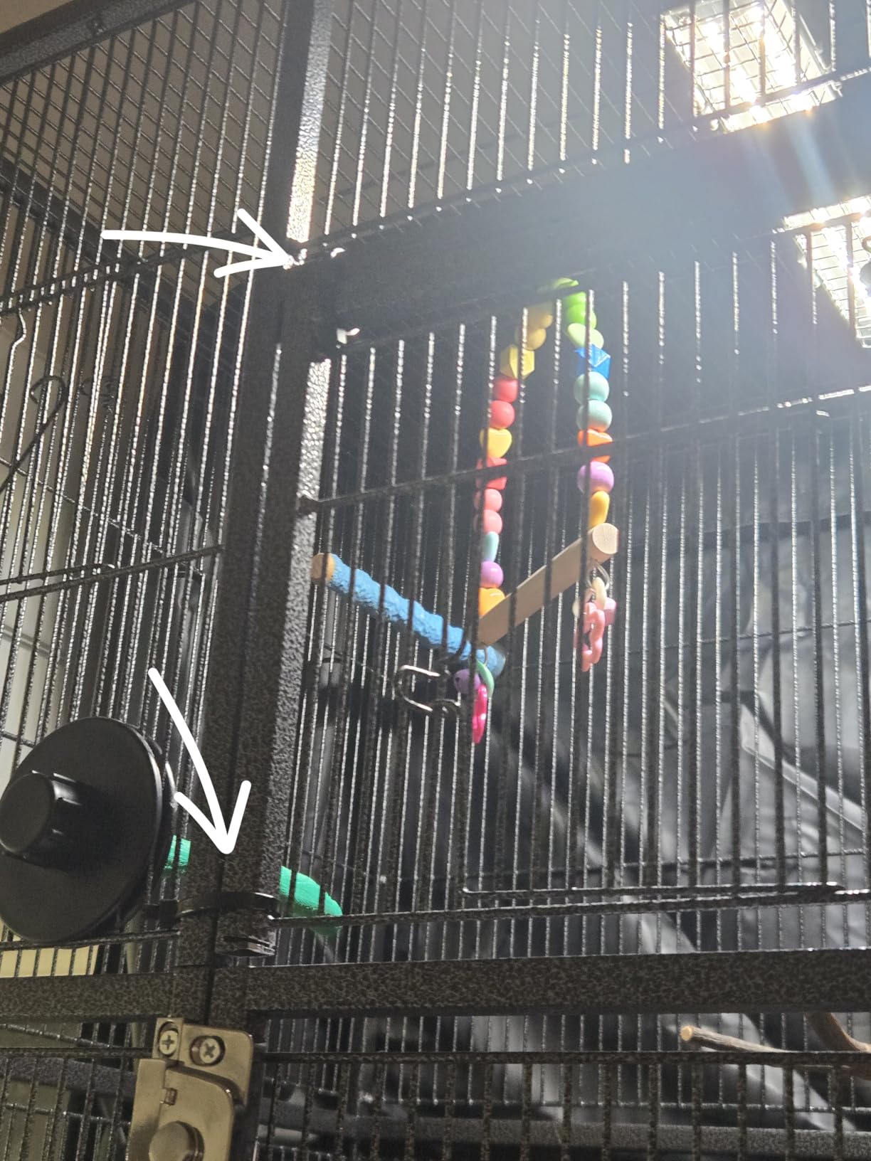 Yaheetech 63-Inch Wrought Iron Rolling Large Bird Cage for African Grey Small Quaker Amazon Parrots Canary Bird Flight Cage customer photo 2