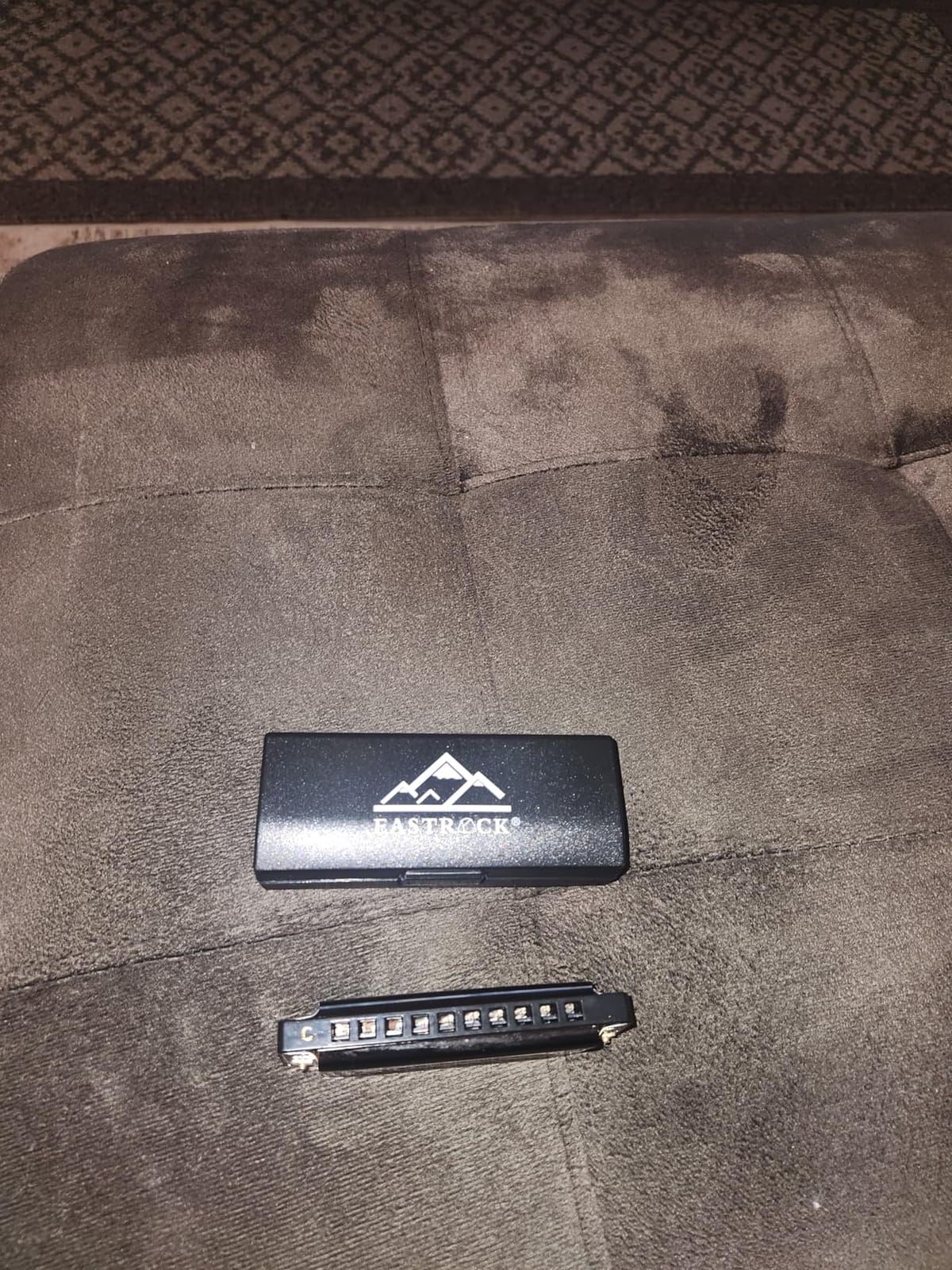 EastRock 10 Hole Blues Harmonica C Key Black with Case for Adults Beginner customer photo 1
