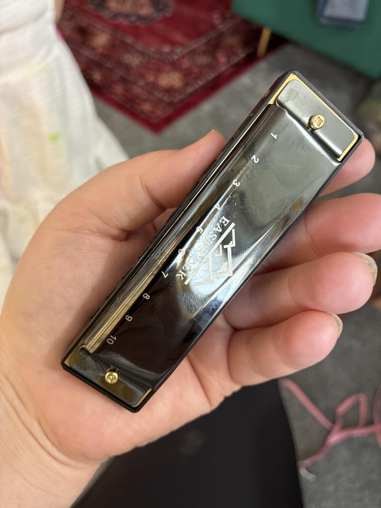 EastRock 10 Hole Blues Harmonica C Key Black with Case for Adults Beginner customer photo 2