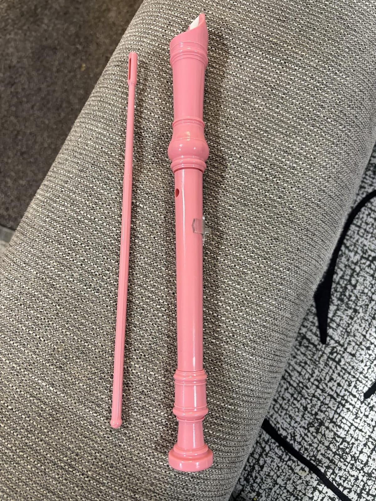 Eastar German C Soprano Recorder for Kids Beginner Kit, Sky Blue, ERS-21GSB customer photo 1