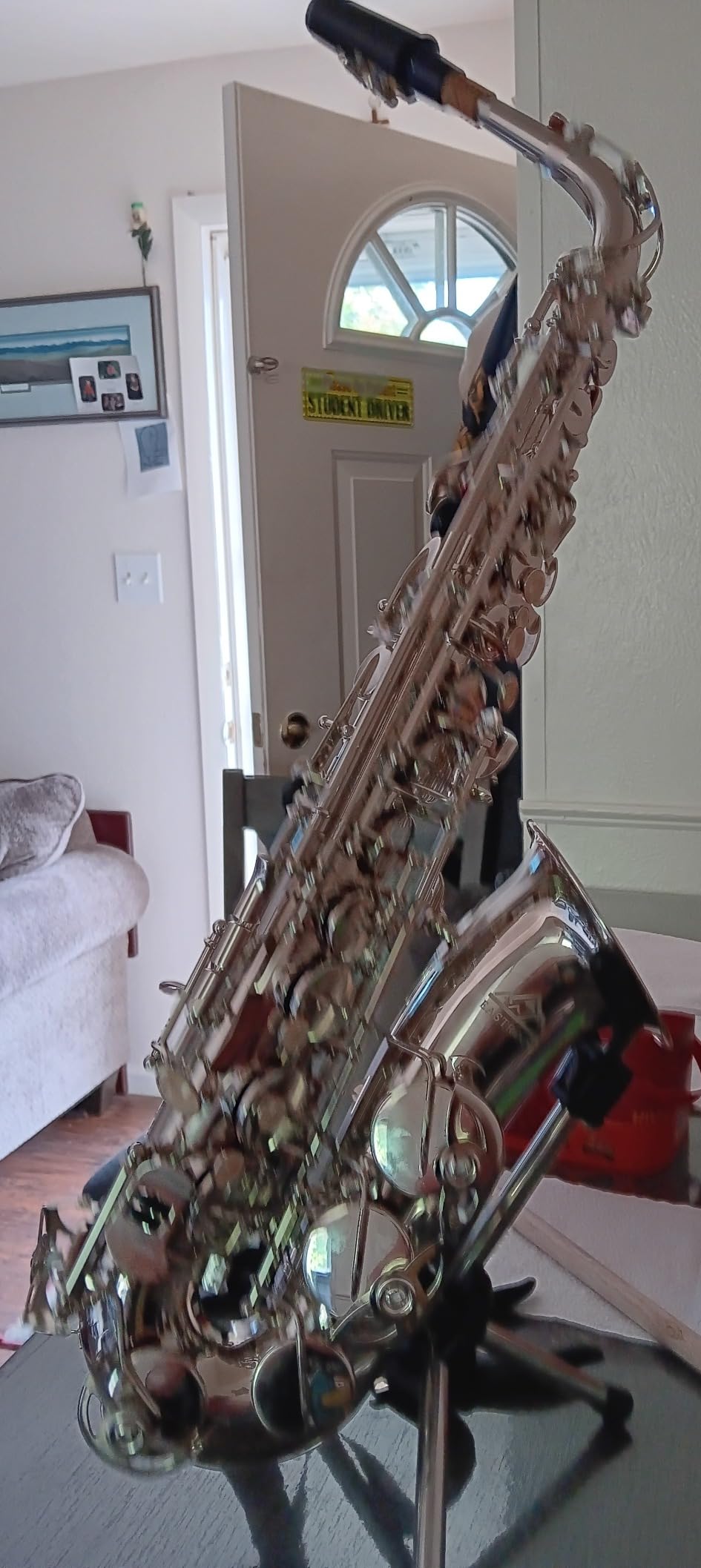 EASTROCK E Flat Alto Saxophone Gold Alto Sax for Beginners and Students customer photo 2